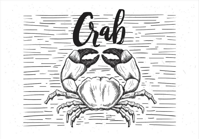 Illustration Vector Free Drawn Crab