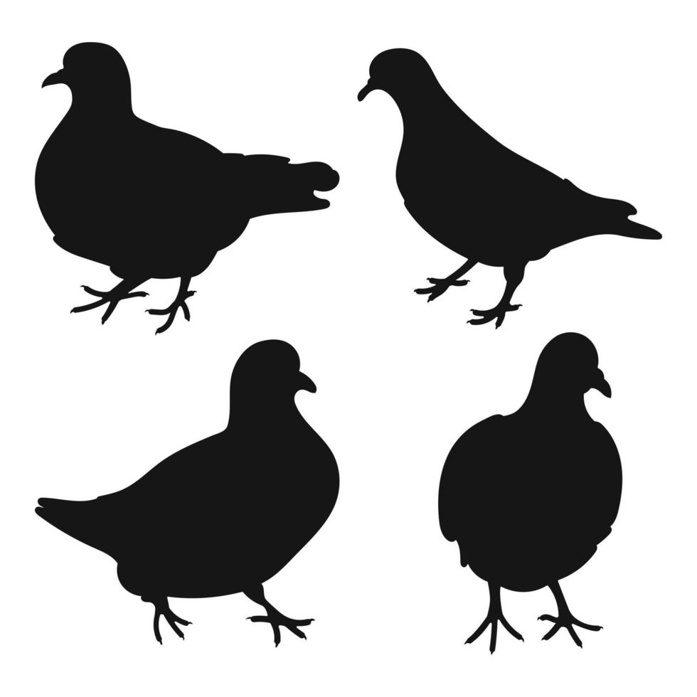 ensemble de vecteurs colombes pigeons debout, pack différent de silhouettes d'oiseaux sauvages dessinés à la main, vecteur isolé