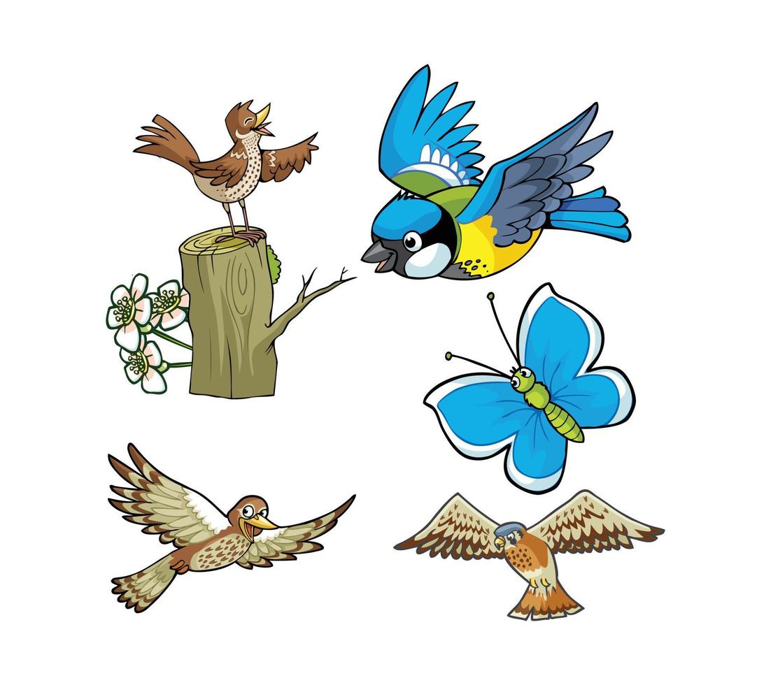 illustration de vecteur pro oiseau papillon naturel coloré réaliste