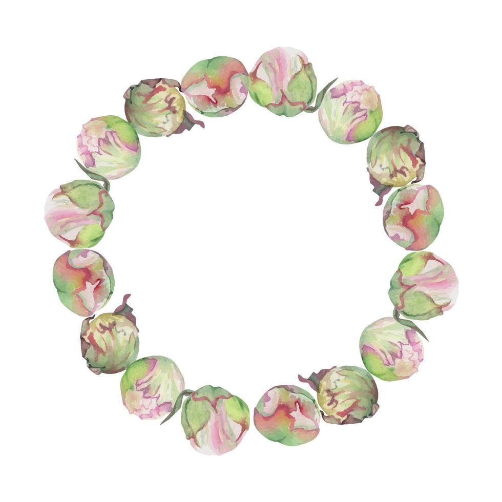 arrangement de cadre de cercle aquarelle avec des fleurs, des bourgeons et des feuilles de pivoine rose délicate dessinés à la main. isolé sur fond blanc. pour les invitations, les mariages, les cartes d'amour ou de voeux, le papier, l'impression, le textile vecteur