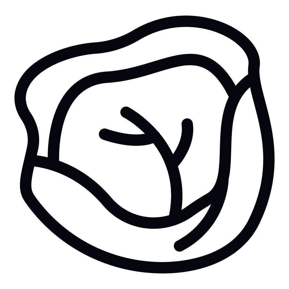 icône de plante de chou, style de contour vecteur