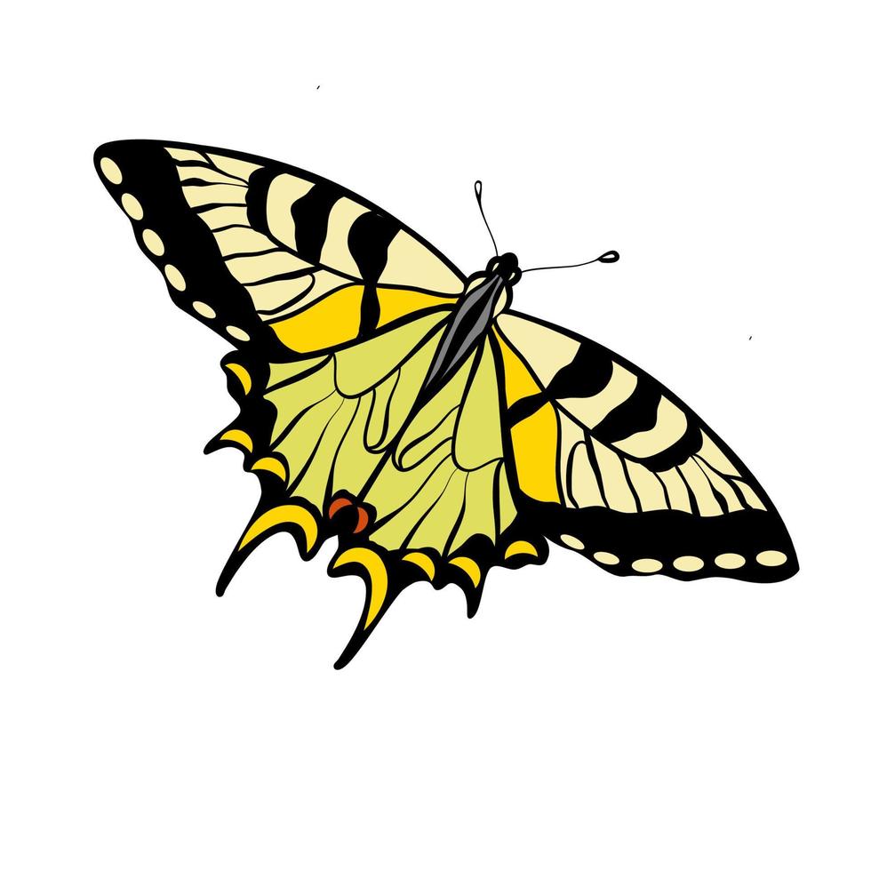 papillon machaon tigre vecteur