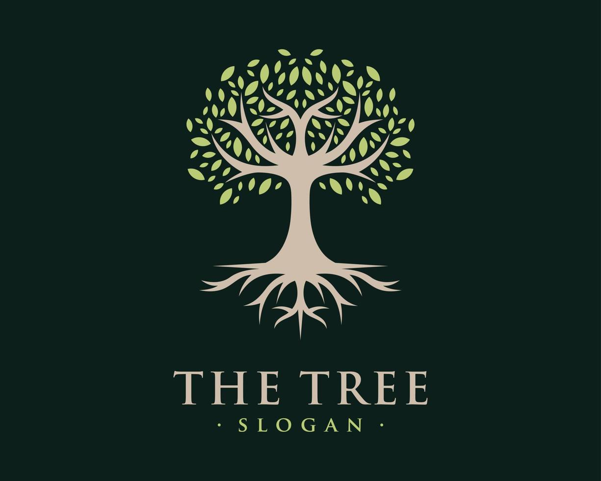 arbre branche bois tige feuille nature vert vie racine sol écologie classique luxe vecteur logo création