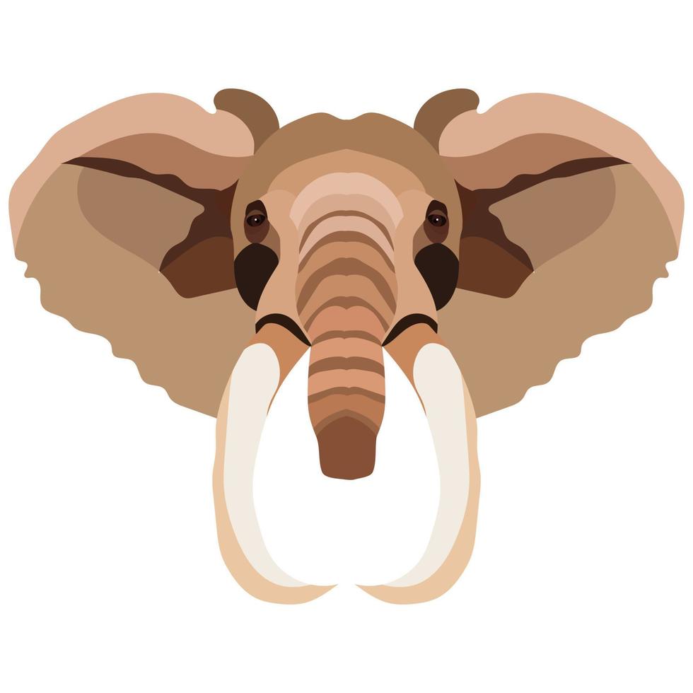 éléphant animal sauvage tête personnage coloré icône illustration vectorielle conception vecteur