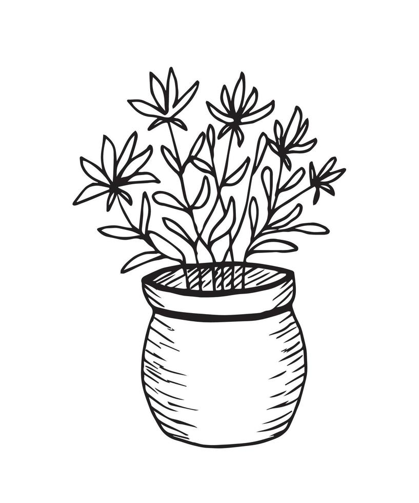 vecteur de dessin à main levée ligne noire sur fond blanc. belles fleurs dans un pot rond, vase. plantes d'intérieur et de jardin pour la décoration intérieure.