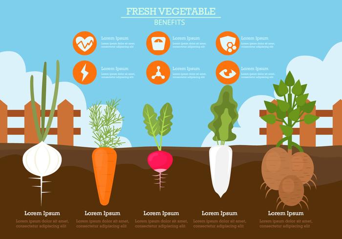 Avantages des légumes frais vecteur