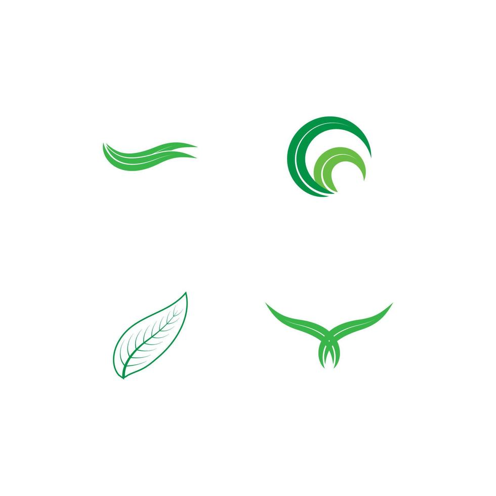 logo nature feuille vecteur