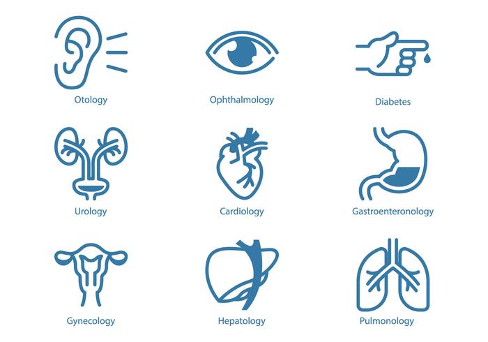 Icône Urologie et organe interne vecteur