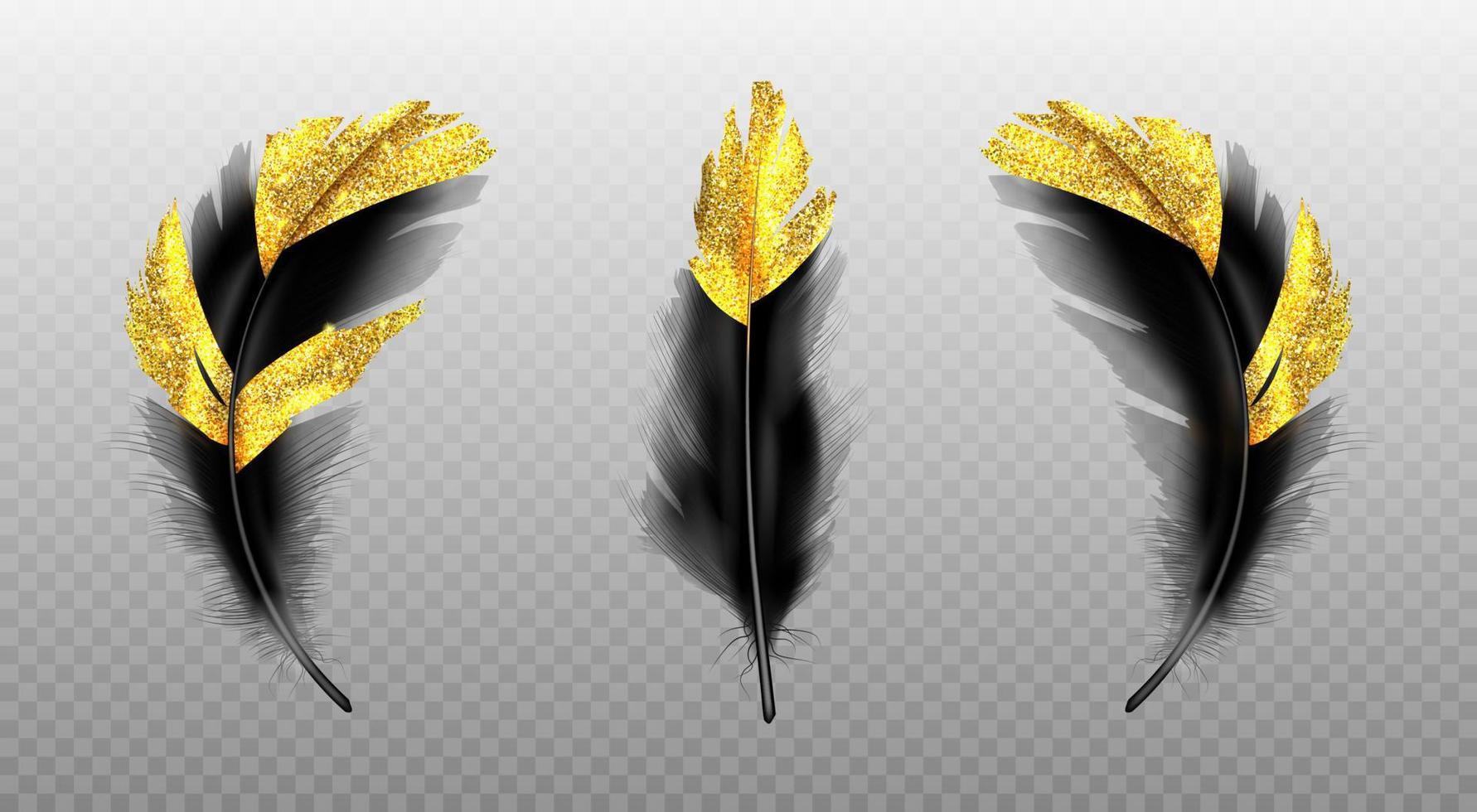 ensemble vectoriel de plumes noires avec des paillettes d'or