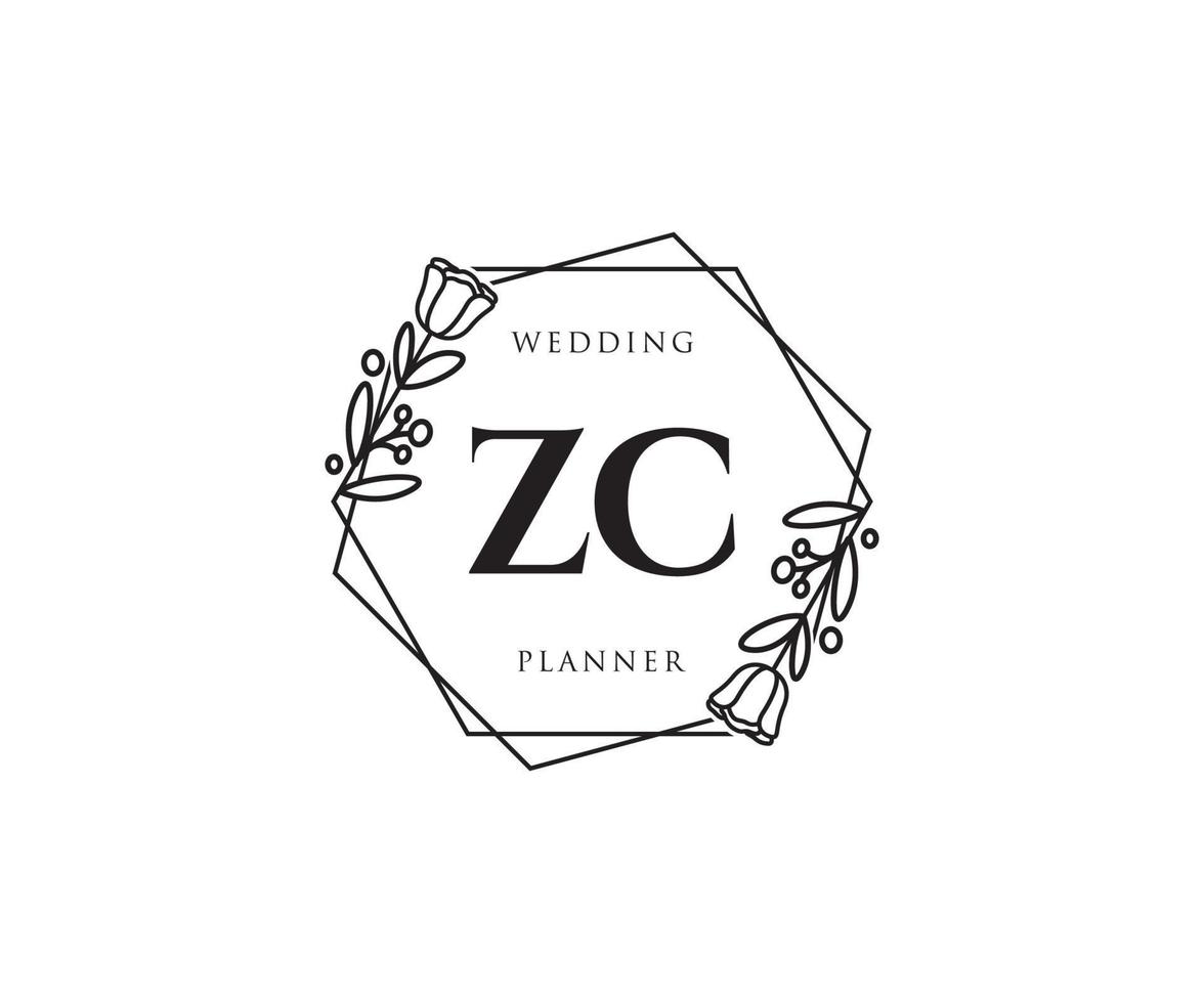 logo féminin zc initial. utilisable pour les logos nature, salon, spa, cosmétique et beauté. élément de modèle de conception de logo vectoriel plat.