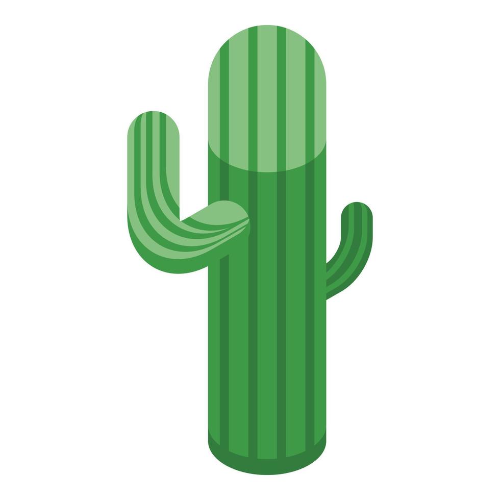 icône de cactus mexicain, style isométrique vecteur