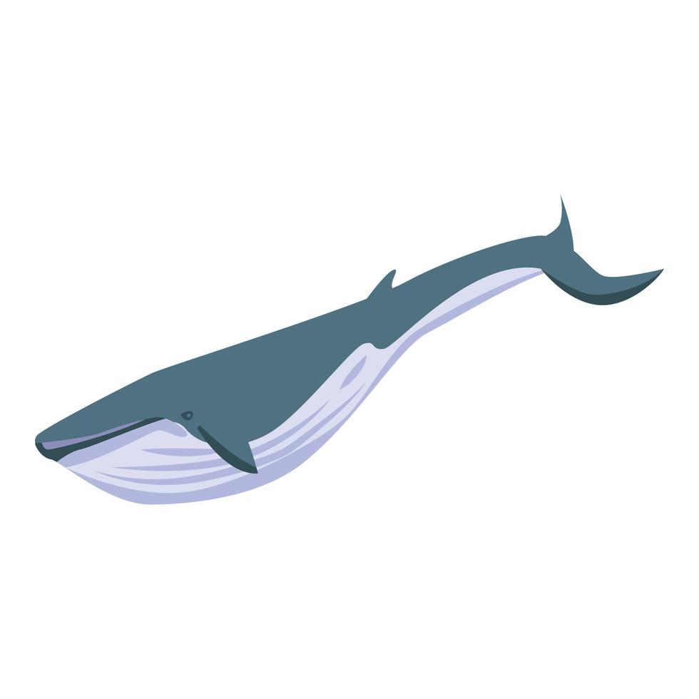icône de baleine de l'océan, style isométrique vecteur