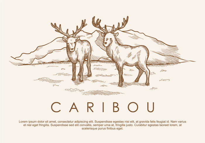 Des vecteurs de caribous de cerisiers dessins à main libre vecteur