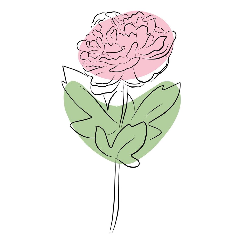 une illustration avec une fleur de pivoine isolée sur fond blanc. illustration vectorielle. silhouette noire. illustration vectorielle réaliste d'une pivoine. illustration vectorielle dessinée à la main vecteur