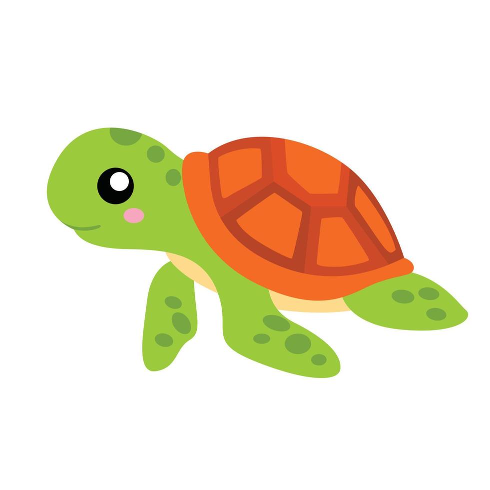 animal tortue sous marine illustration vecteur clipart