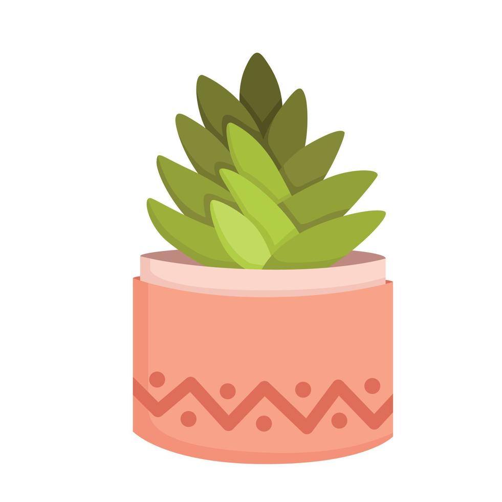 maison plante cactus illustration vecteur clipart