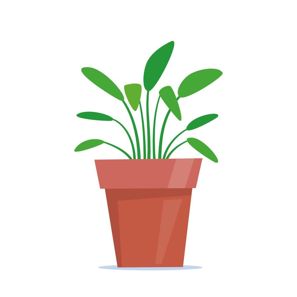 jolie plante verte en pot dans un style plat. illustration vectorielle. vecteur