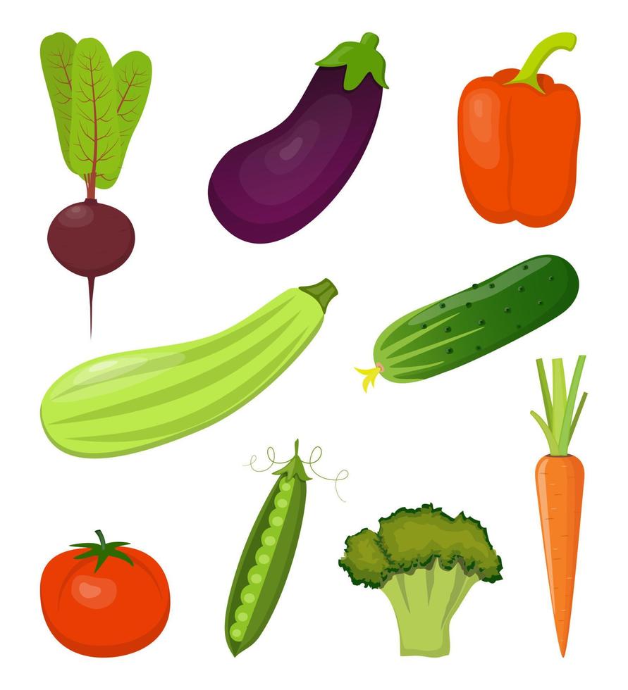 ensemble de légumes frais, lumineux et colorés, isolés sur blanc. betteraves, carottes, courgettes, aubergines, brocolis, poivrons, tomates, concombres, petits pois. illustration vectorielle. vecteur