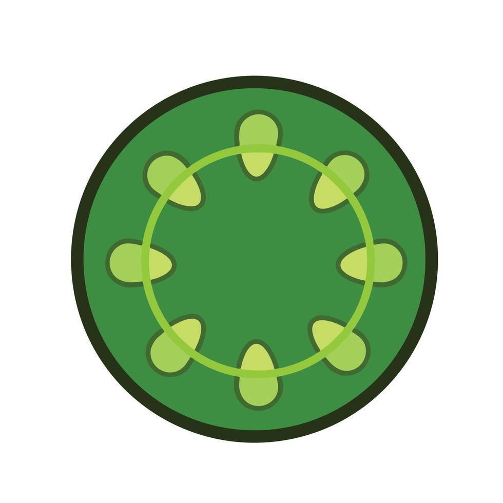 illustration de vecteur de tige de dicotyle vert isolé sur fond blanc. dessin de pictogramme sur le thème de la biologie et des plantes avec un style d'art plat simple de dessin animé. dessin moderne et épuré.