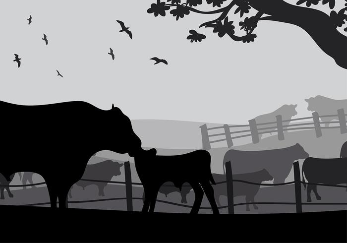 Vecteur libre de silhouette de vache Angus