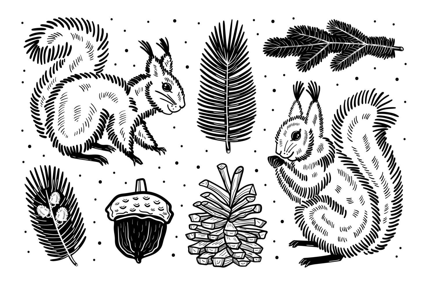 écureuil dessiné à la main et éléments de la forêt vecteur