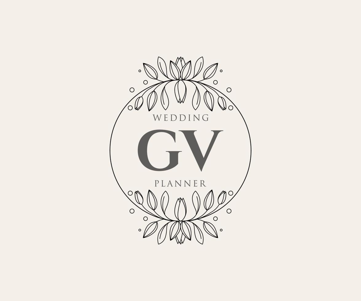 gv initiales lettre mariage monogramme logos collection, modèles minimalistes et floraux modernes dessinés à la main pour cartes d'invitation, réservez la date, identité élégante pour restaurant, boutique, café en image vectorielle vecteur