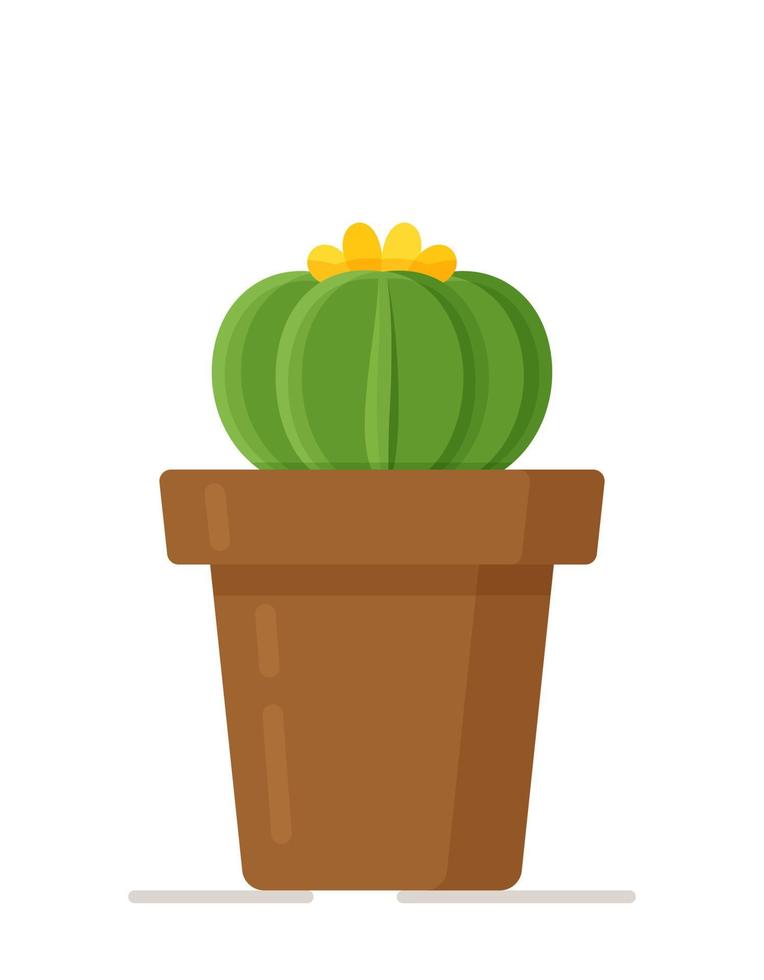 illustration vectorielle du concept de cactus. belles fleurs de chambre dans des vases. vecteur