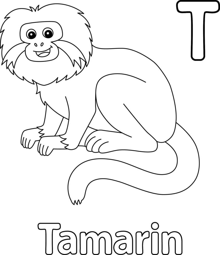 tamarin animal alphabet abc isolé coloration t vecteur