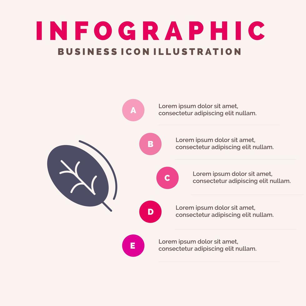 écologie feuille nature printemps solide icône infographie 5 étapes présentation arrière-plan vecteur