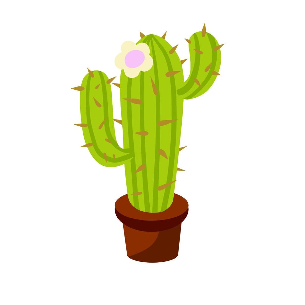 cactus en pot. plante d'appartement. succulente verte. illustration de dessin animé plat isolé vecteur