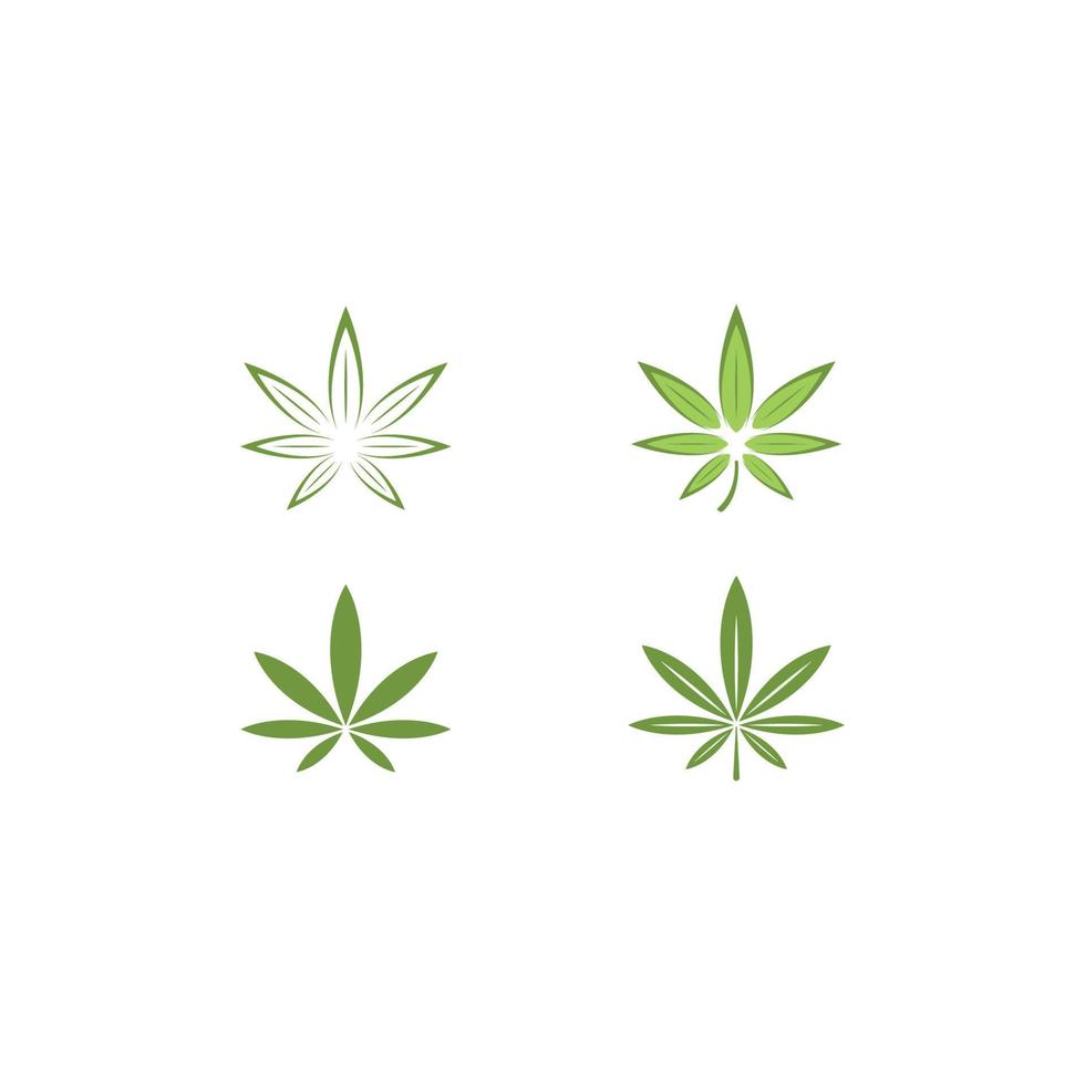 icône d'illustration vectorielle de modèle de feuille de cannabis vecteur