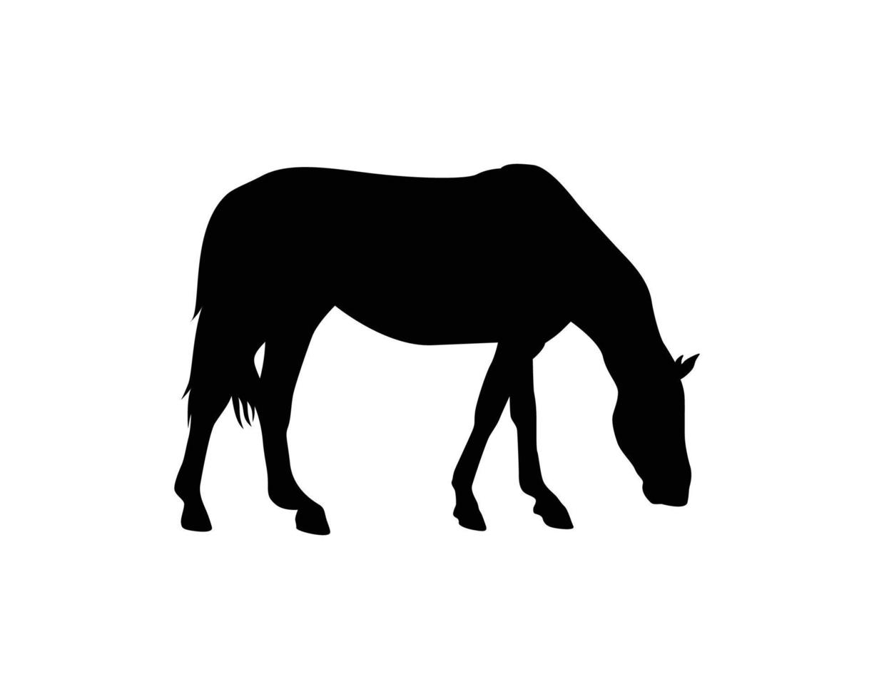 modèle de vecteur de silhouette de cheval