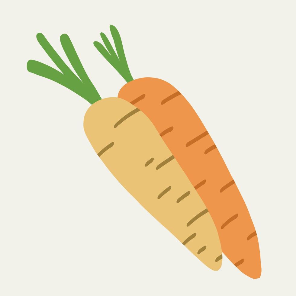 doodle dessin de simplicité à main levée de carotte. vecteur