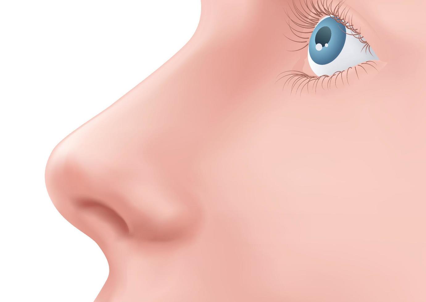 vue de profil nez humain et oeil bleu avec des cils sur le visage illustration réaliste pour la médecine, isolé sur le vecteur de conception de fond blanc. exemple de rhinoplastie. partie du corps pour la biologie.