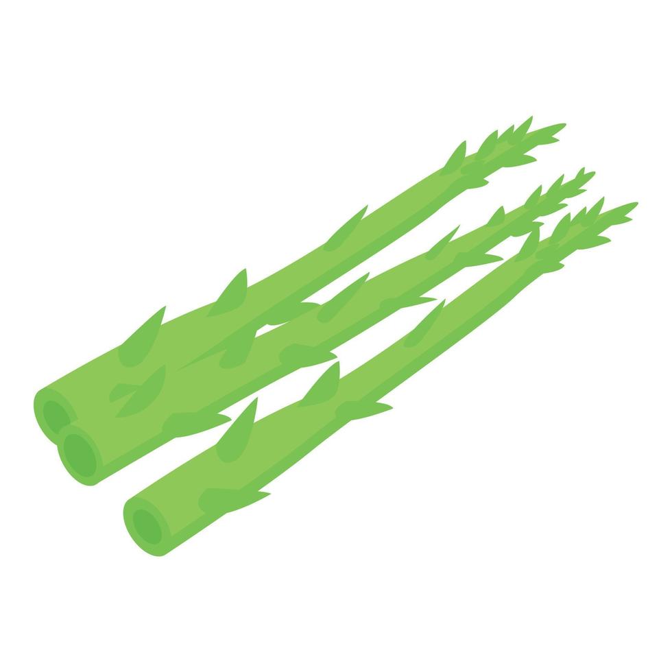 icône verte d'asperges, style isométrique vecteur