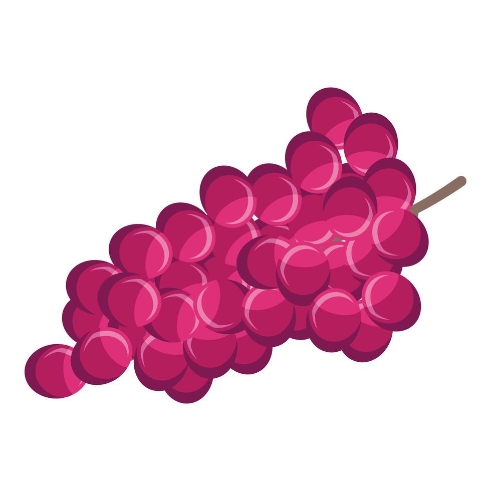 icône de raisins de petit-déjeuner sain, style isométrique vecteur