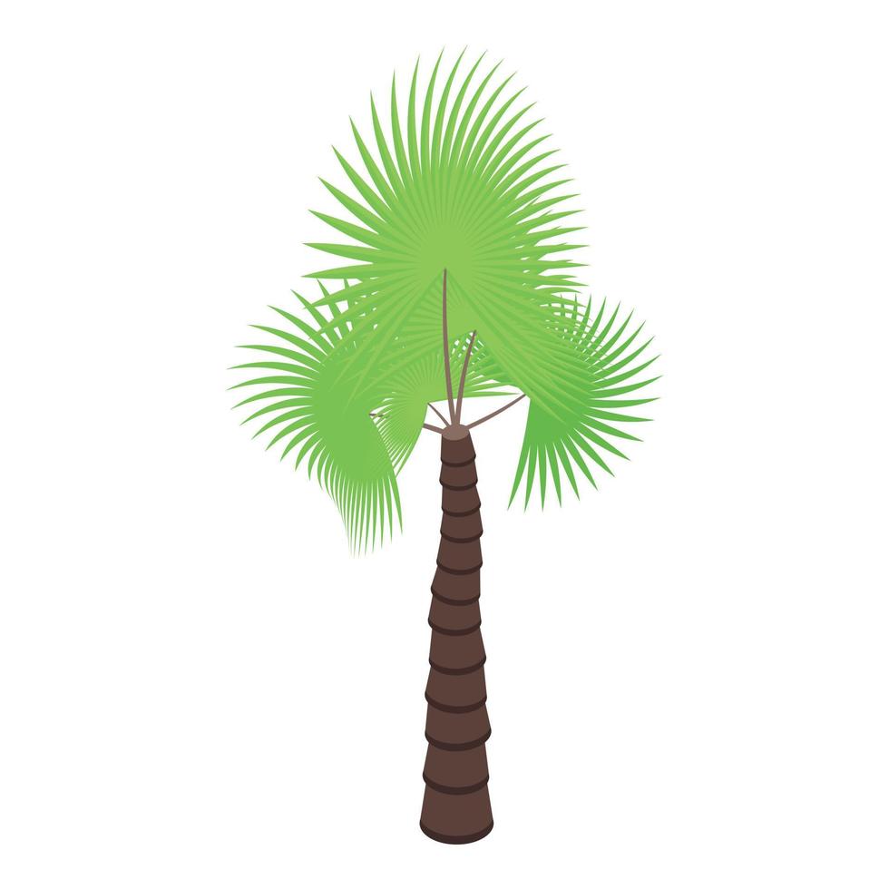 icône de l'île aux palmiers, style isométrique vecteur