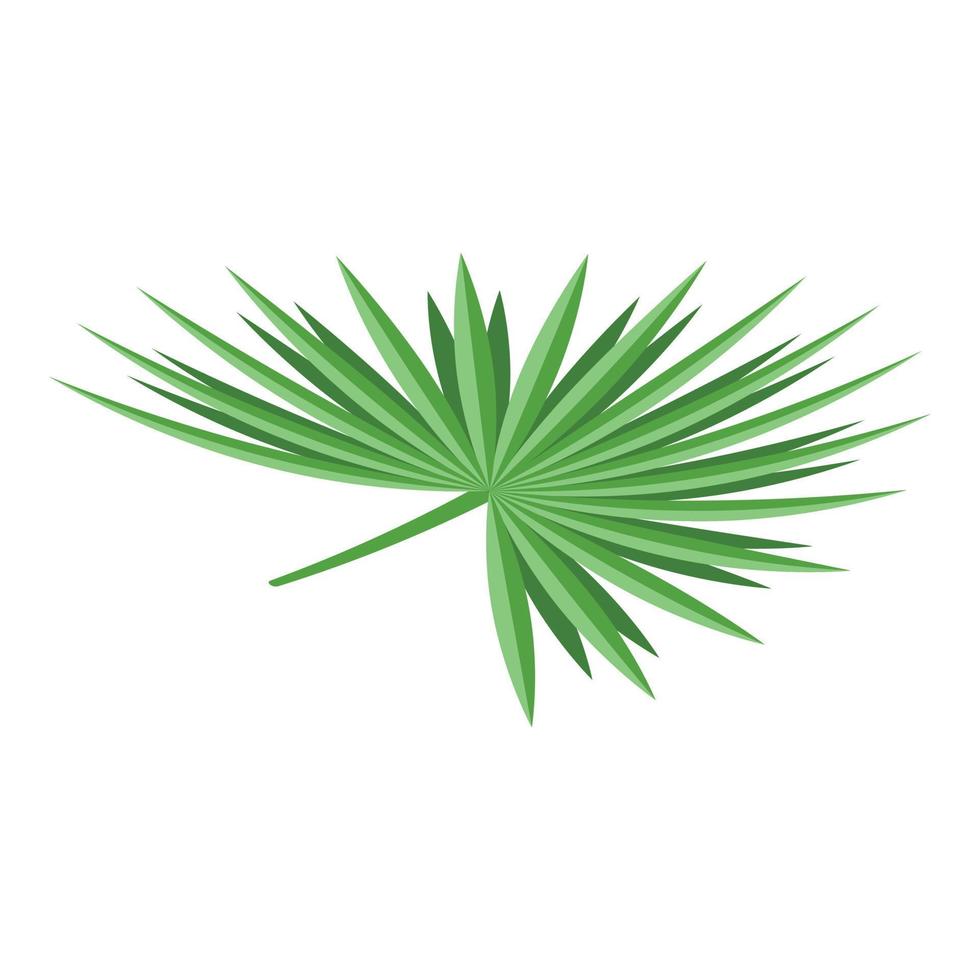 icône de feuille de palmier, style isométrique vecteur