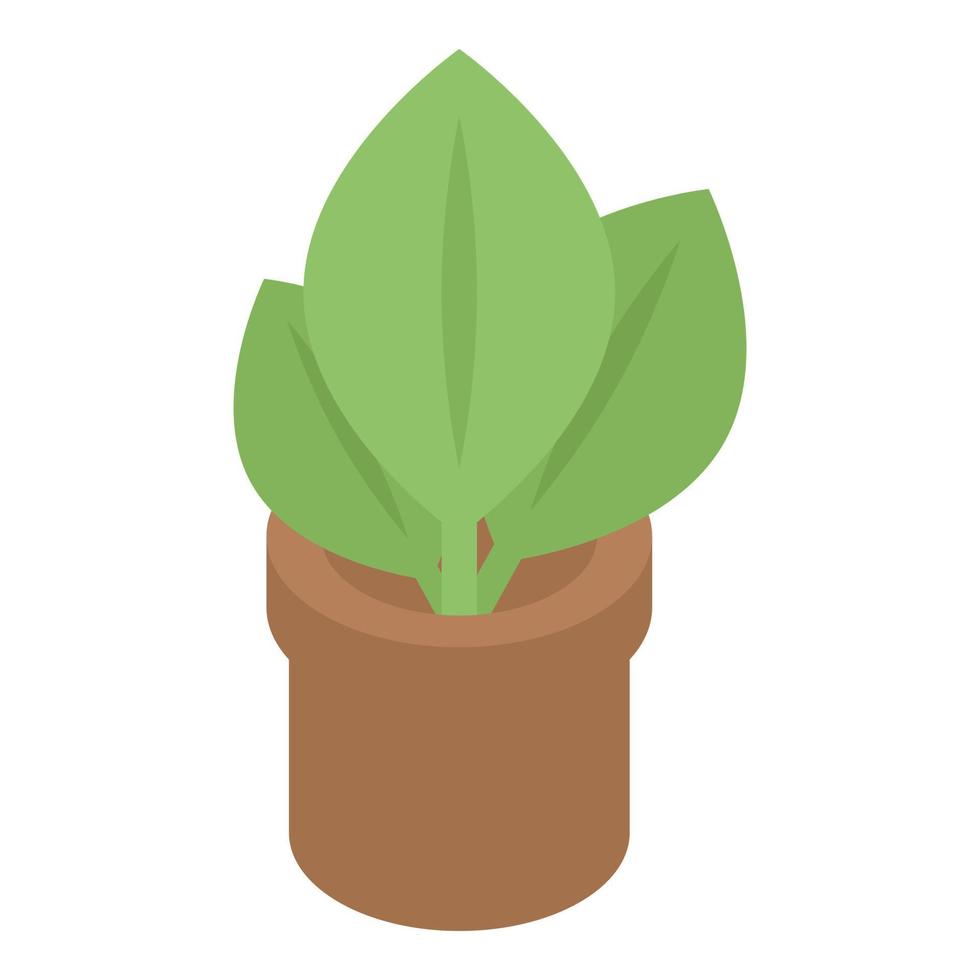 icône de plante d'intérieur, style isométrique vecteur