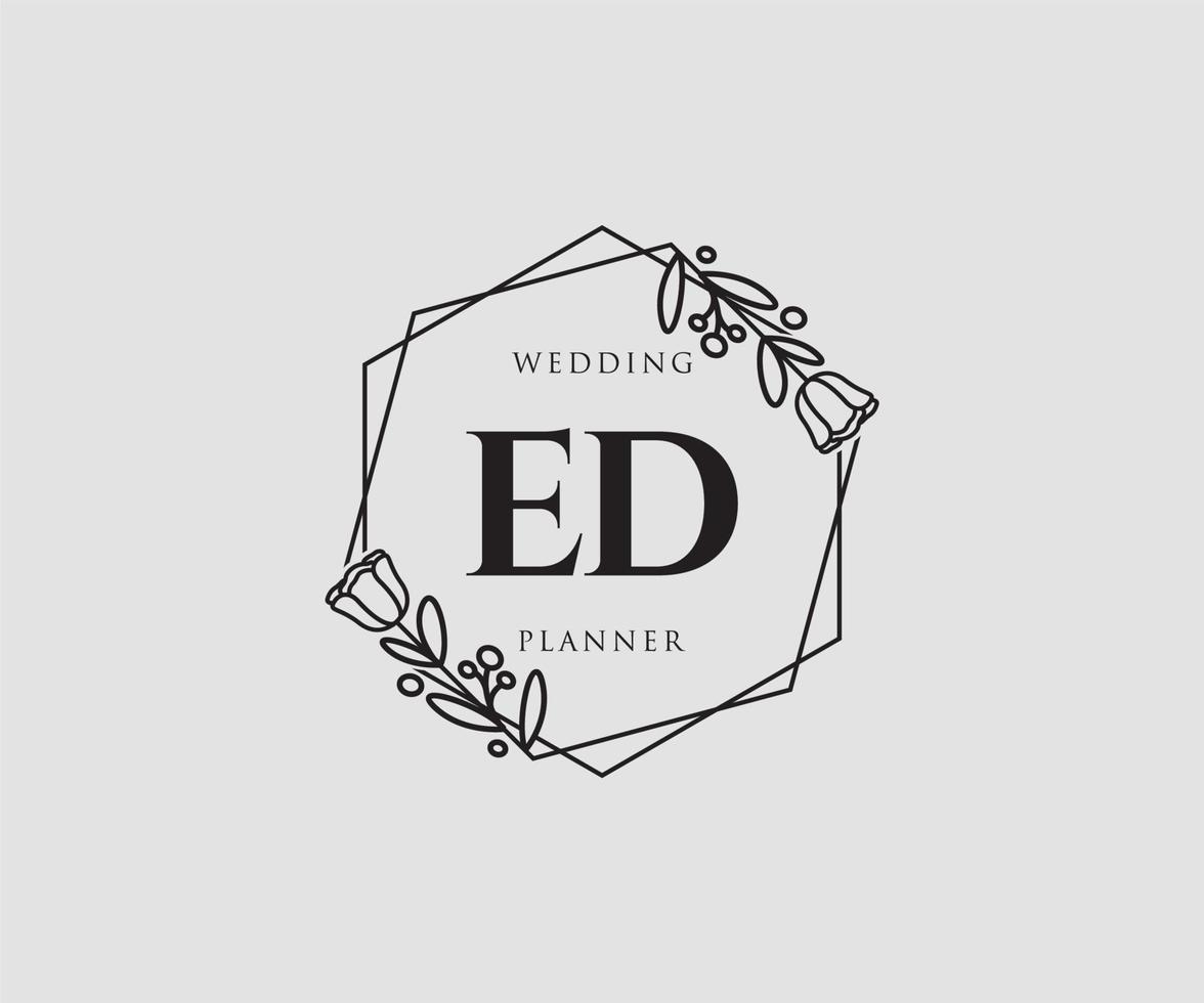 logo féminin initial ed. utilisable pour les logos nature, salon, spa, cosmétique et beauté. élément de modèle de conception de logo vectoriel plat.