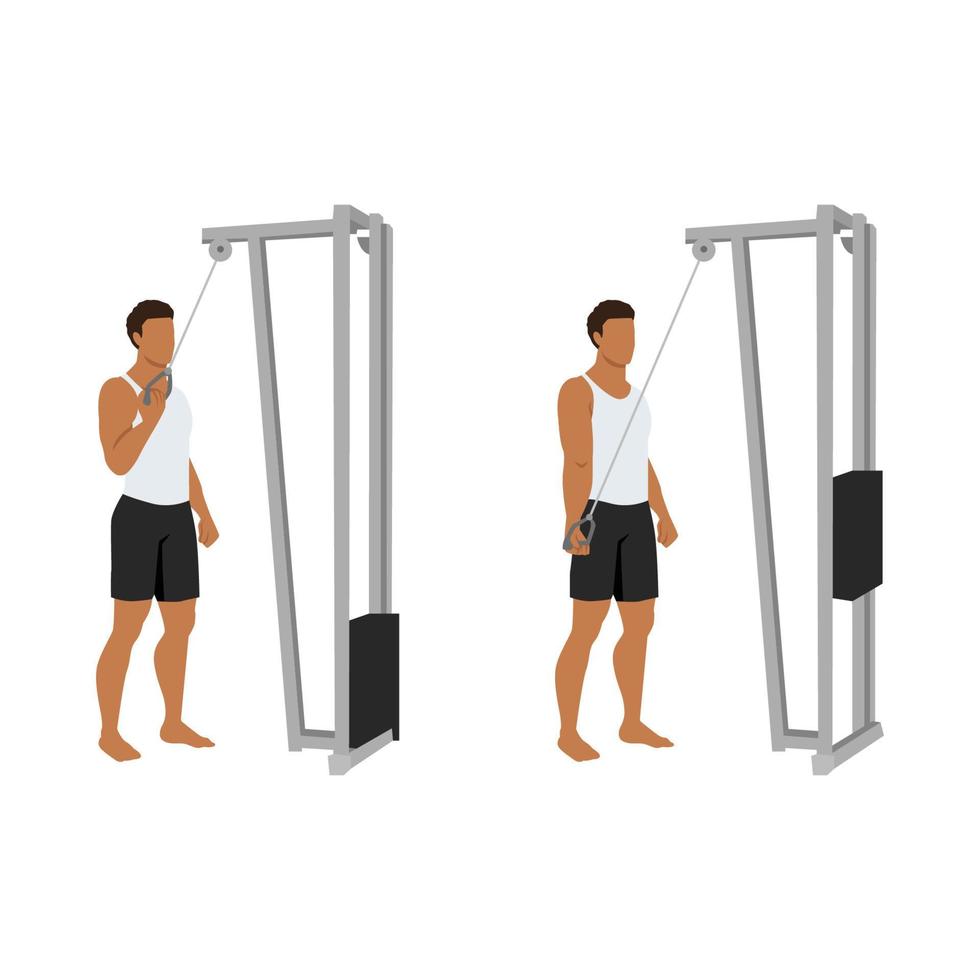 homme faisant une extension de triceps de câble à bras unique. illustration de vecteur plat isolé sur fond blanc