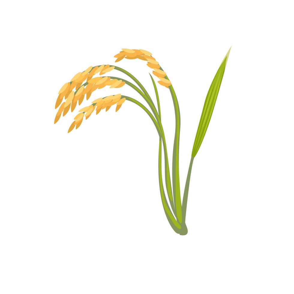 paddy riz plante agriculture symbole dessin animé illustration vecteur