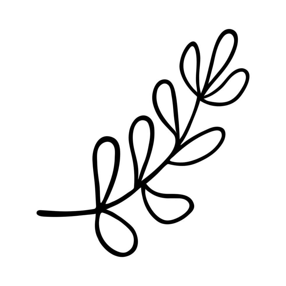 icône de vecteur de branche d'arbre. doodle simple dessiné à la main isolé sur blanc. tige d'herbe à feuilles ovales. plante de forêt, de prairie, de champ ou de jardin. croquis de brindille d'arbuste. clipart pour cartes, cosmétiques, logo, web