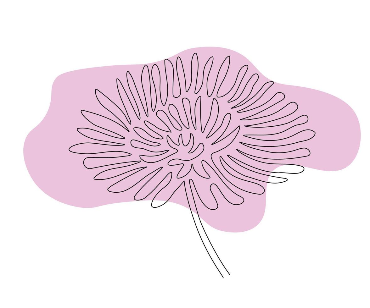 la fleur d'aster est dessinée à la main dans un style minimaliste, dans la technique d'une seule ligne, une monoline. symbole cosmétique, logo de salon de beauté vecteur