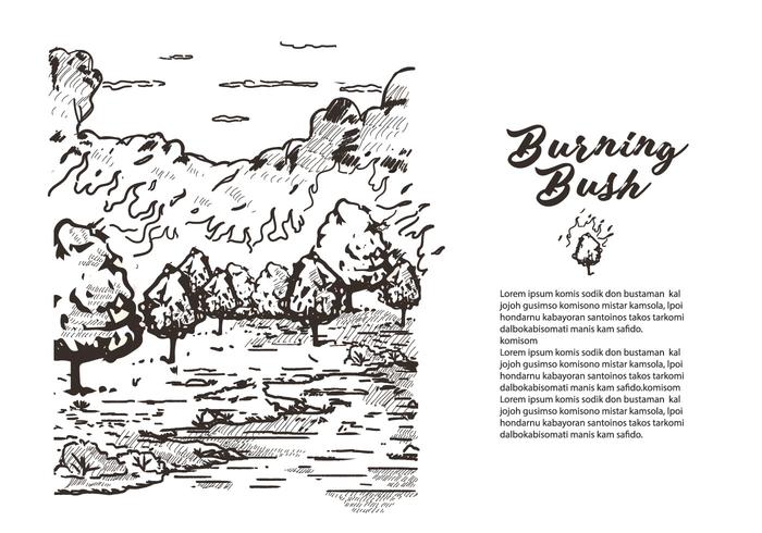 Lithographie Burning Bush Book Story Illustration Vectorisée vecteur