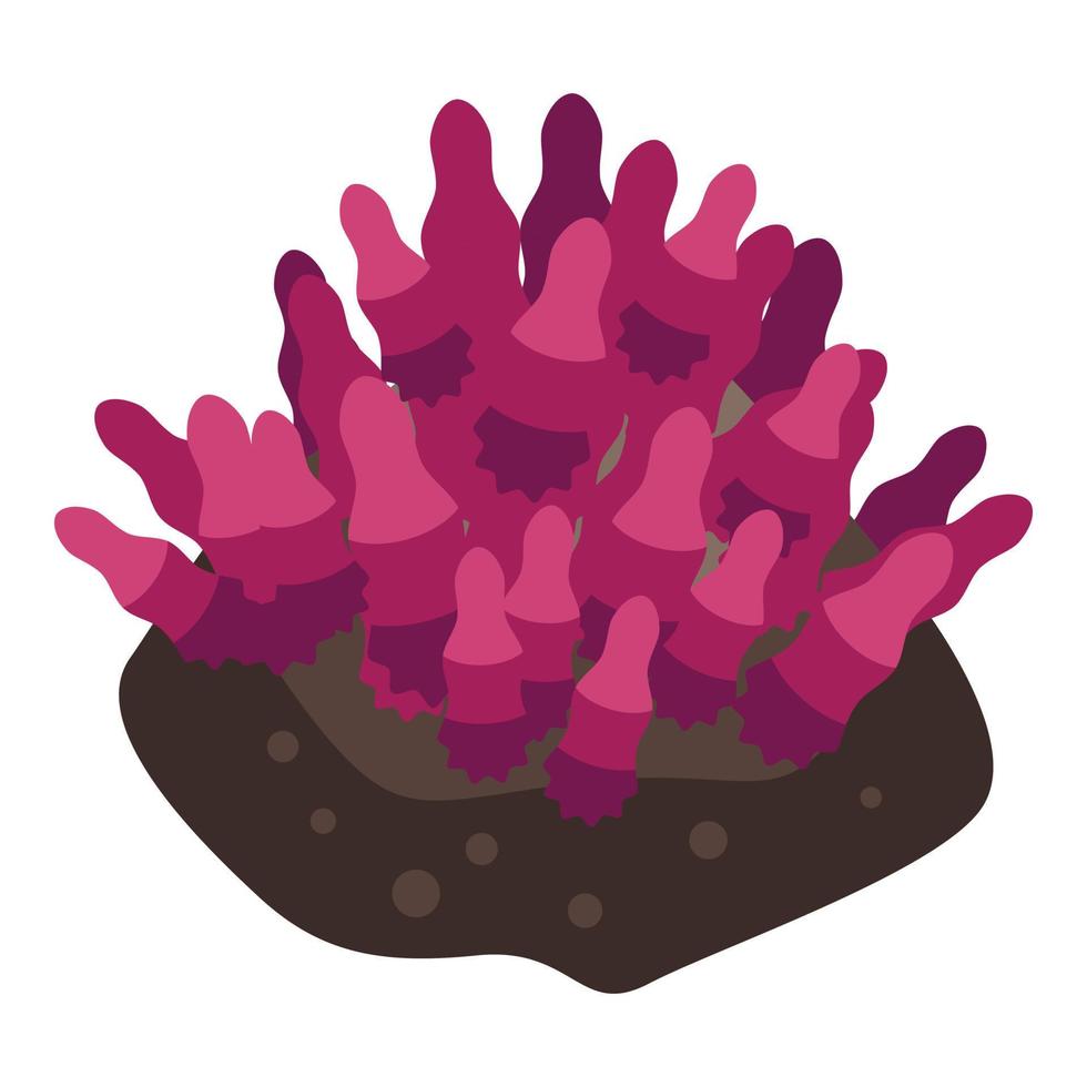 icône de corail tropical, style isométrique vecteur