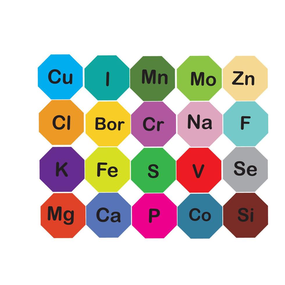 microéléments minéraux et macroéléments, utiles pour la santé humaine. fondamentaux d'une saine alimentation et d'un mode de vie sain. vecteur