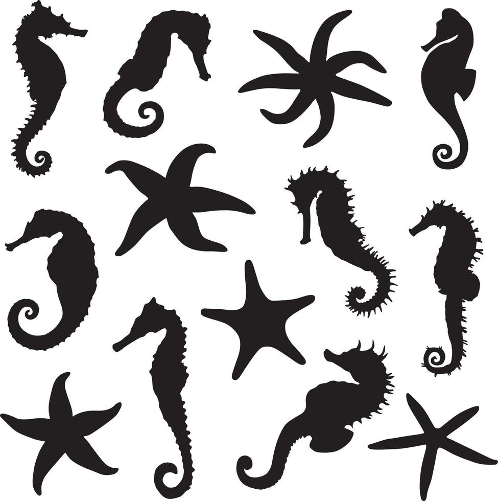 silhouette d'hippocampes et d'étoiles de mer vecteur