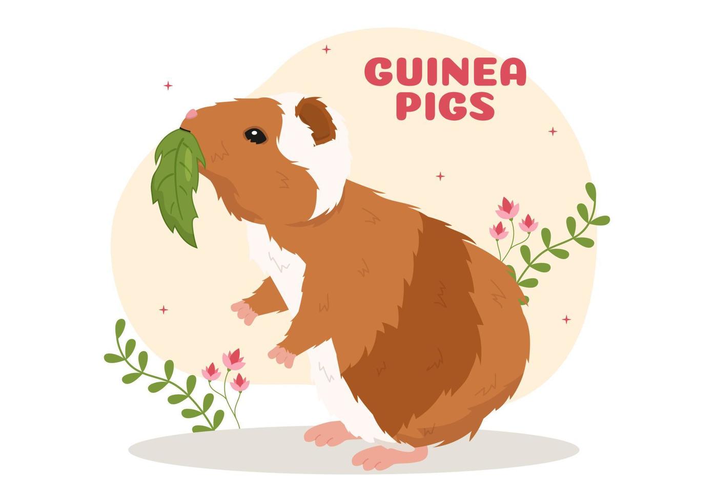 cochon d'inde animaux de compagnie hamsters races d'animaux adaptées à l'affiche ou à la carte de voeux en illustration de modèles dessinés à la main dessin animé mignon plat vecteur