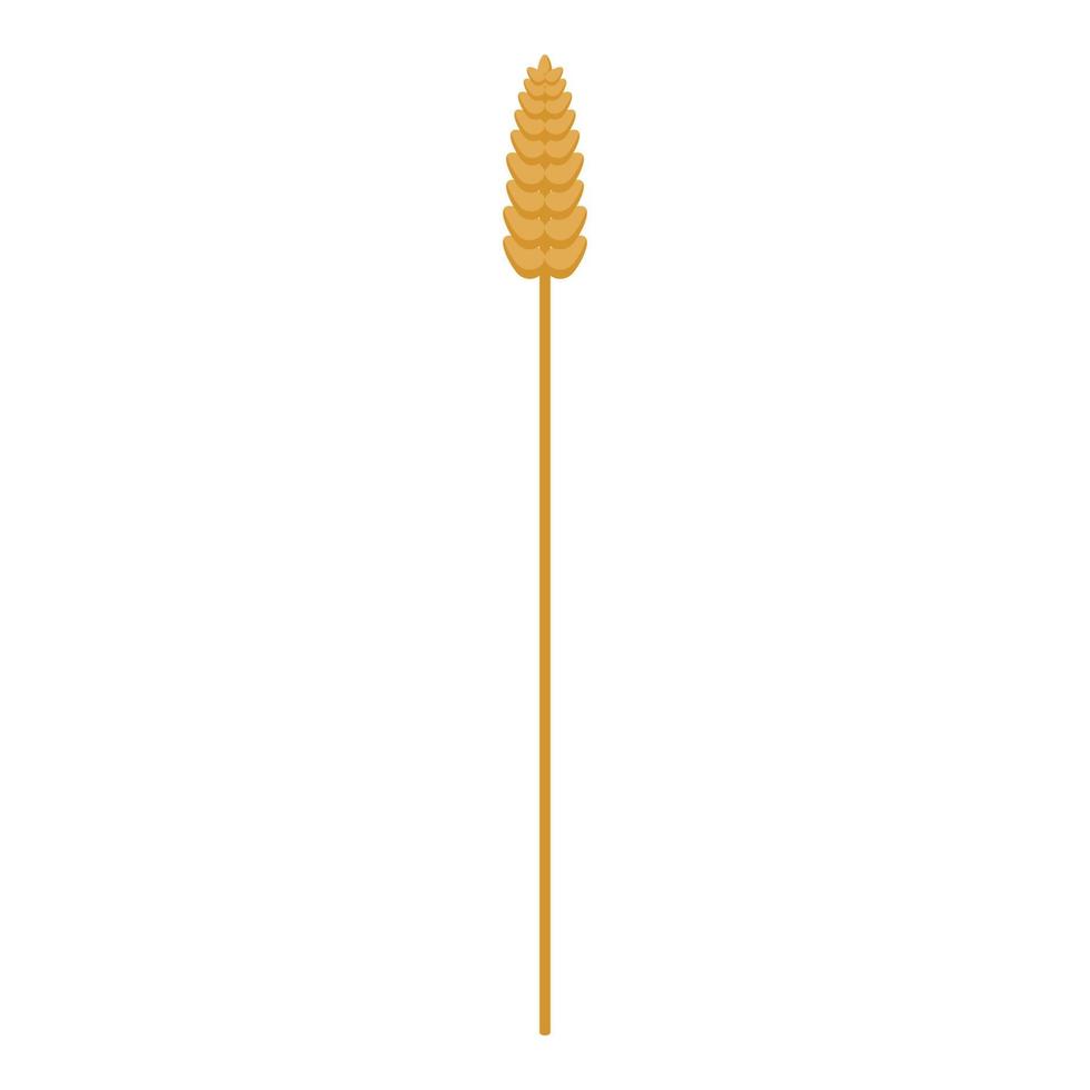 icône de plante de blé, style isométrique vecteur